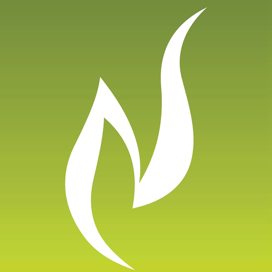 Provident Botanico Logo